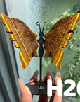 Small Butterfly Wings