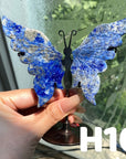 Small Butterfly Wings