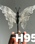 Small Butterfly Wings