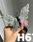 Small Butterfly Wings