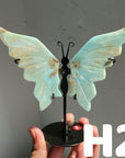 Small Butterfly Wings
