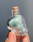 Skull Wishing Bottle