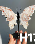 Small Butterfly Wings