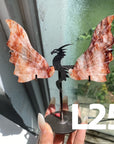 Dragon Wings