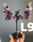 Dragon Wings