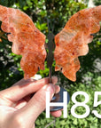 Small Butterfly Wings
