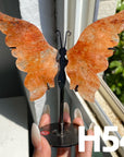 Small Butterfly Wings