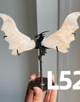 Dragon Wings