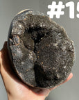 Septarian Egg & Freeform
