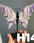 Small Butterfly Wings