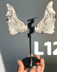Dragon Wings