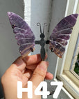 Small Butterfly Wings