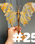 Golden Healer Butterflly (imperfect)