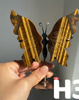Small Butterfly Wings