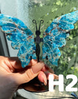 Small Butterfly Wings