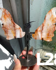 Dragon Wings