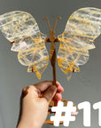 Golden Healer Butterflly (imperfect)
