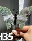 Small Butterfly Wings