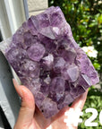 Large Amethyst Cluster