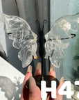 Small Butterfly Wings