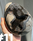 Septarian Egg & Freeform