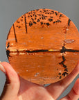 Picture Jasper Plate