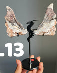 Dragon Wings