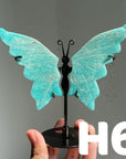 Small Butterfly Wings