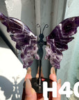 Small Butterfly Wings
