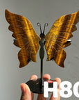 Small Butterfly Wings