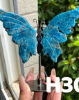 Small Butterfly Wings