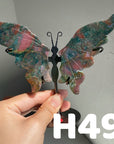 Small Butterfly Wings
