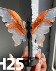 Small Butterfly Wings
