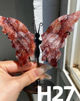 Small Butterfly Wings