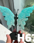 Small Butterfly Wings