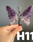 Small Butterfly Wings