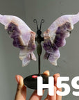 Small Butterfly Wings