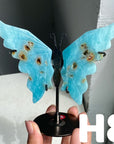 Small Butterfly Wings
