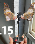 Dragon Wings