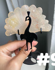 Clearance Peacock Wings
