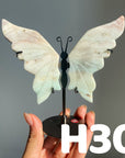 Small Butterfly Wings