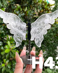 Small Butterfly Wings