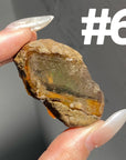 Ethiopian Water Opal