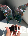 Small Butterfly Wings
