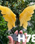 Small Butterfly Wings
