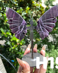 Small Butterfly Wings