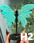 Small Butterfly Wings