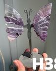 Small Butterfly Wings