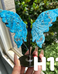 Small Butterfly Wings