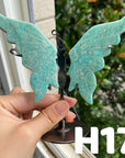Small Butterfly Wings